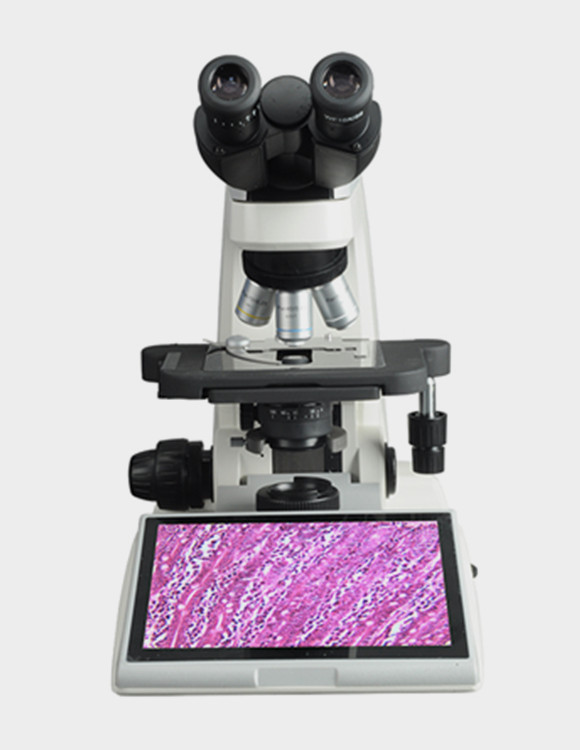 WMS-1050數(shù)碼生物顯微鏡